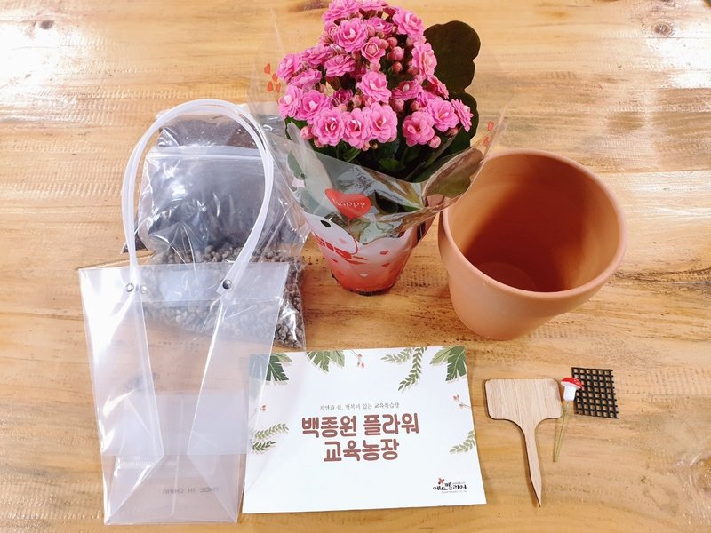 원예·플라워 체험 프로그램